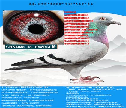 威廉迪布恩“墨菲定律”直子X“天王星”直女