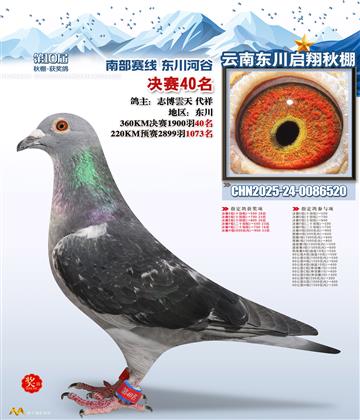 东川启翔决赛40名