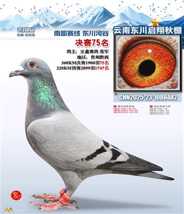 东川启翔决赛75名