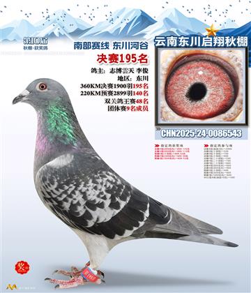 东川启翔决赛195名