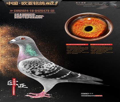 ʩgǾX NPOɺš875X843