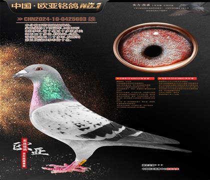 ղɭԭᡰš131XֱŮ653