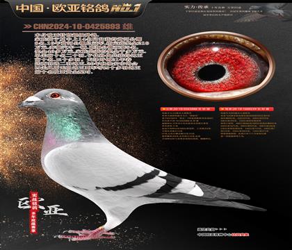 ɣʿֹ888XֱŮ239Сھ