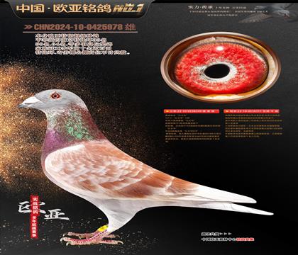 ղɭ131ֱ349X̩ɽ311ƽ