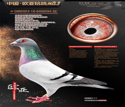 Ǳԭ³ֱ183X³ֱŮ199