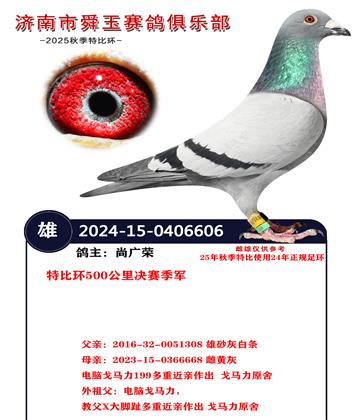 特比环500公里决赛季军