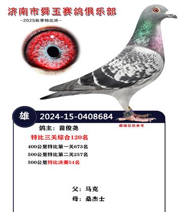 500公里特比決賽54名 三關(guān)綜合120名