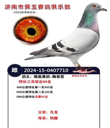 特比三關(guān)綜合88名