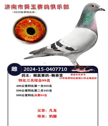 特比三关综合88名