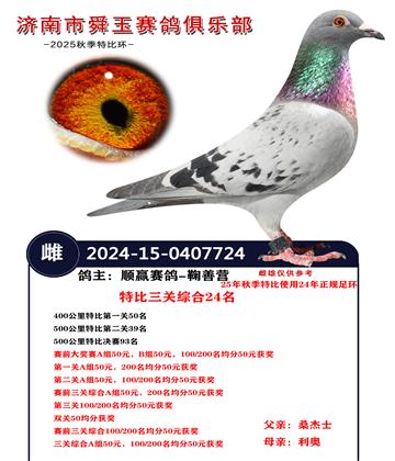 特比三关综合24名