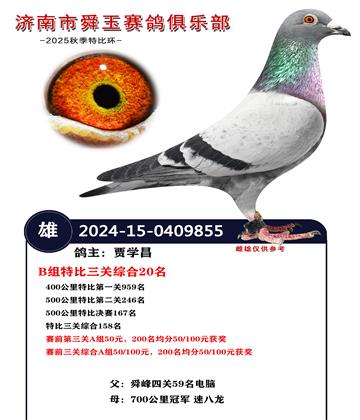 B組特比三關(guān)綜合20名