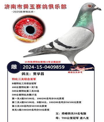 特比三关综合亚军 B组特比三关综合冠军