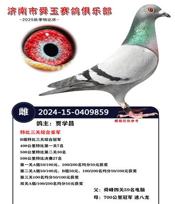 特比三關(guān)綜合亞軍 B組特比三關(guān)綜合冠軍