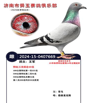 特比三关综合40名