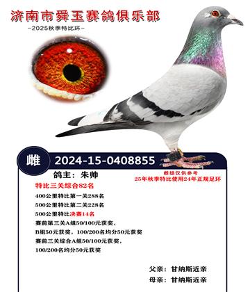 500公里特比决赛14名 特比三关综合82名