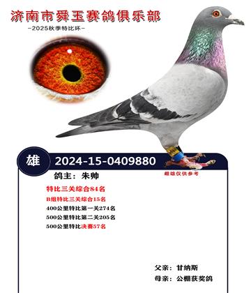 特比三關(guān)綜合84名 B組特比三關(guān)綜合15名