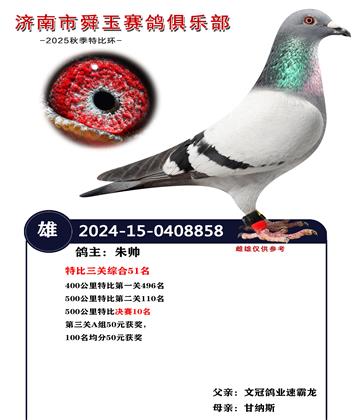 500公里特比決賽10名 特比三關(guān)綜合51名