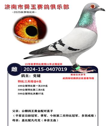 特比三关综合6名