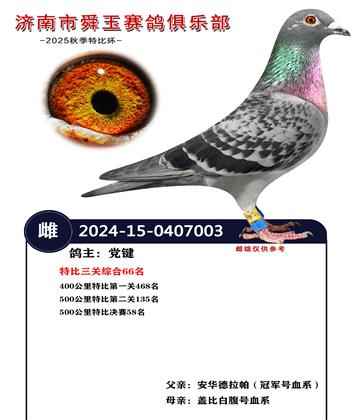 特比三關(guān)綜合66名