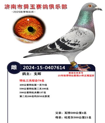 特比三关综合78名