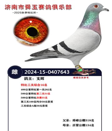 特比三關(guān)綜合16名