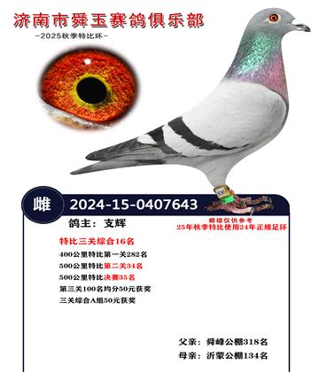 特比三关综合16名