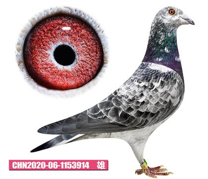 噶斯頓-神奇魅影914