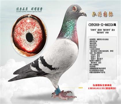 53035  P(gun)42  W̖O