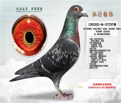 ٰ֪17䌦ֱOX\848ֱOŮ