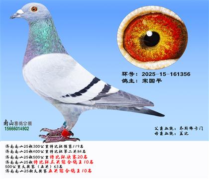 �رȭh(hu��n)���P(gu��n)�C������10������(ji��ng)ِ���P(gu��n)�C������10��