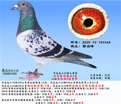 �رȭh(hu��n)�QِB�M��܊