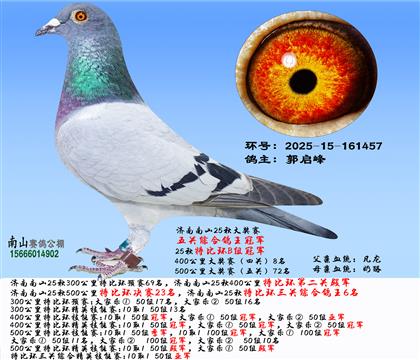 �رȭh(hu��n)���P(gu��n)�C������6������(ji��ng)ِ���P(gu��n)�C��������܊