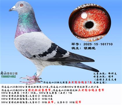 �رȭh(hu��n)�Qِ��܊���رȭh(hu��n)���P(gu��n)�C��������܊