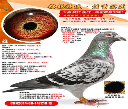 A(y)ِ13.Qِ179D˹ֱOD˹ֱ