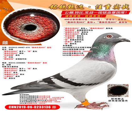 f(wn)A(y)ِ32.ِ189Wƥ003OŮ _