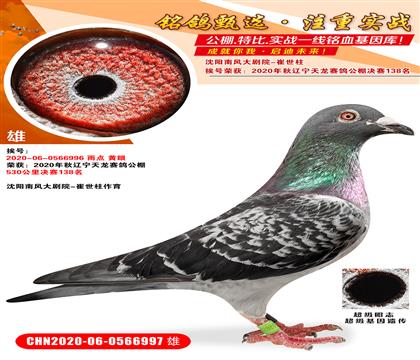 |Qِ138¸C.(yng)L(fng)Ժ-