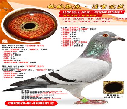 ءL(fng)䌦(du)ֱϵ L(fng)o̖(ho)OŮ شơ