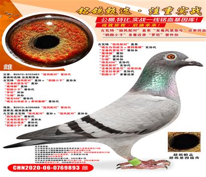 ءL(fng)䌦(du)ֱϵ L(fng)o̖(ho)OŮ شơ