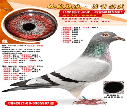 īƶɡOǡֱOŮ īƶɡO o(j)