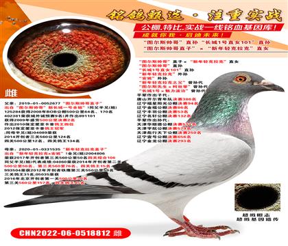 D˹ֱӡpˡֱŮ D˹硱ֱO