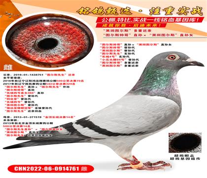 D˹硱ֱOڰ߈D˹ֱOŮ  D˹硱