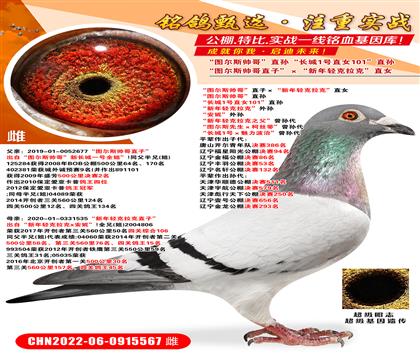 D˹ֱӡpˡֱŮ D˹硱ֱO