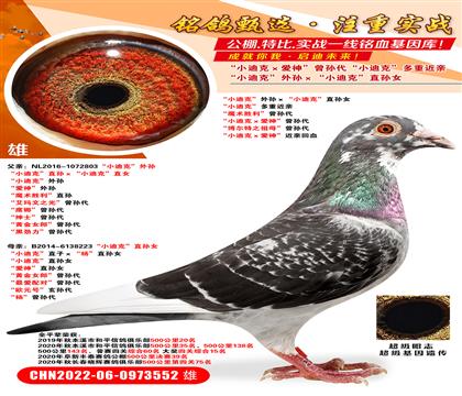 СϿˡOСϿˡֱOŮ СϿˡؽH ħg(sh)