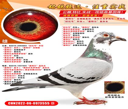 üt̖(ho)OؠֱOŮ ؠȫֱO W