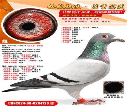 īƶɡOǡֱOŮ īƶɡO o(j)