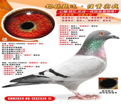 »ؠֱO»ؠֱOŮ »ؠHѪ