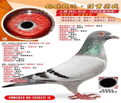 ѻؠֱO»ؠֱOŮ ѻؠ