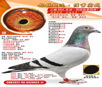 P(gun)(jing)C8?sh)ϡO ?sh)ȡO (j)_