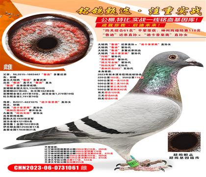 P(gun)C61?sh)ϡHֱOϿWֱOŮ