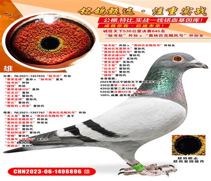 \(chng)Qِ645ؕ̎OWƥZL(fng)̖(ho)OŮ